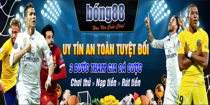 Các dịch vụ chính tại tổng Bong88